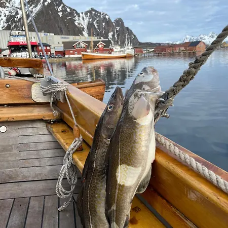 Glass Domes At Arctic Ocean Nygard (Nordland)