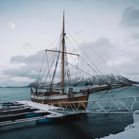 Campingplasser Glass Domes At Arctic Ocean