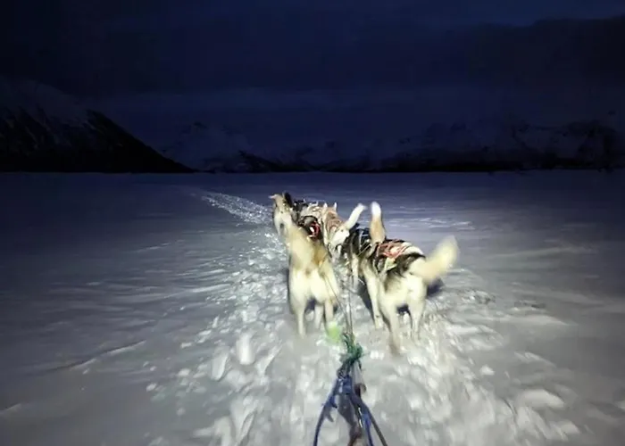 Campingplasser Glass Domes At Arctic Ocean Nygard (Nordland)