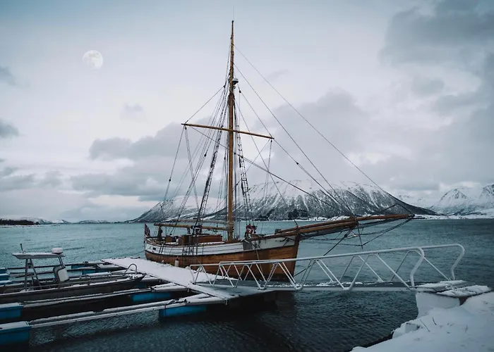 Campingplasser Glass Domes At Arctic Ocean